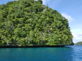 ocean conservation funding - Why Ocean Conservation Funding Is Crucial for High Seas Treaty
