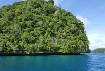 ocean conservation funding - Why Ocean Conservation Funding Is Crucial for High Seas Treaty