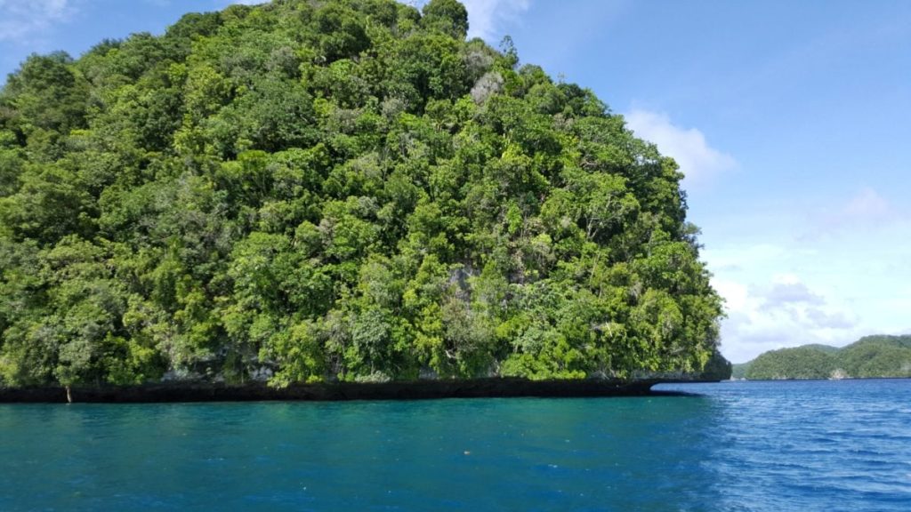 ocean conservation funding - Why Ocean Conservation Funding Is Crucial for High Seas Treaty